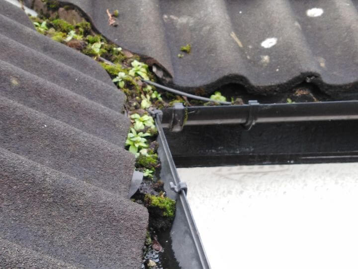 Gutter clean in Chester.