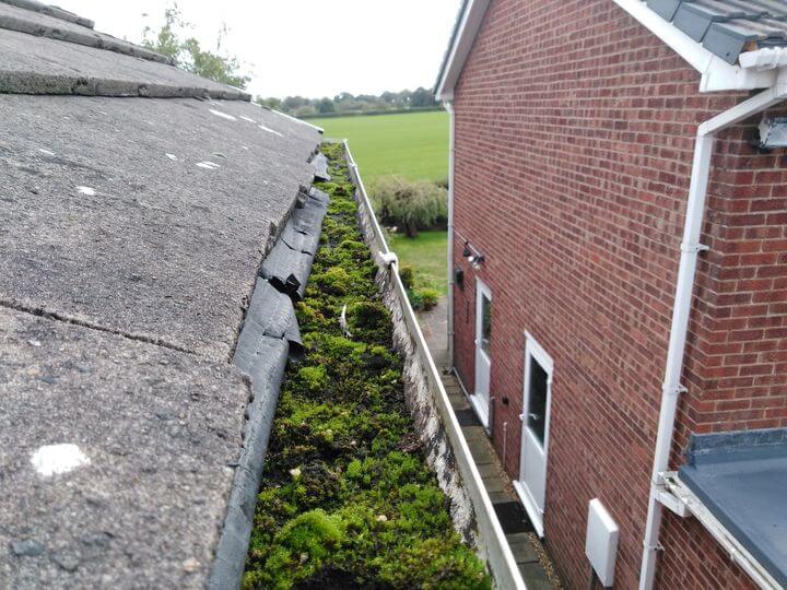 Local guttering cleaning.